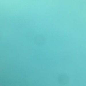 Meet your Posher, Kari